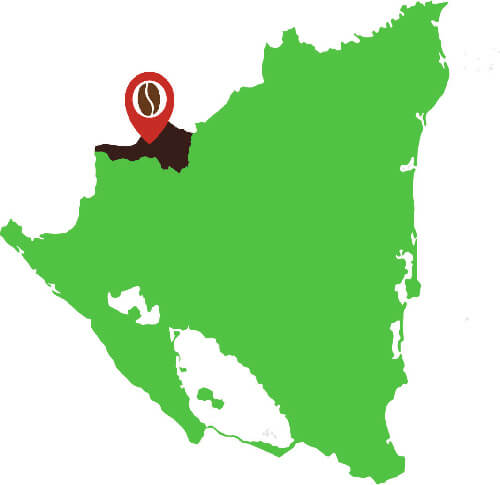 Café Nueva Segovia Nicaragua